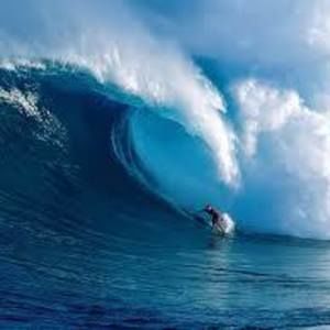 Meet your Posher, Todd