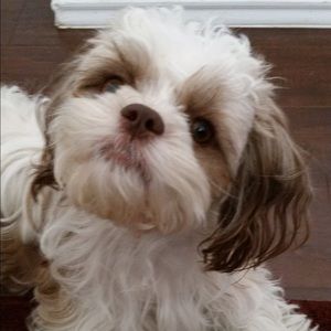 Meet your Posher, Kendra