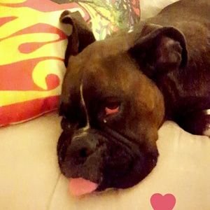 Meet your Posher, Breeann