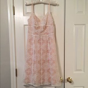 Ann Taylor Lace Dress