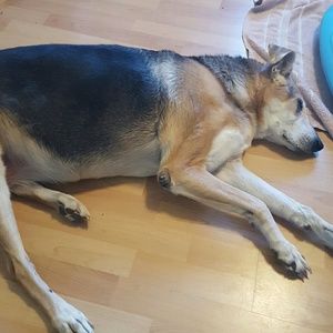 Meet your Posher, Chasity