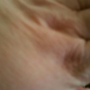 Meet your Posher, Debra