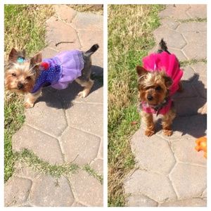 Meet your Posher, Sharon