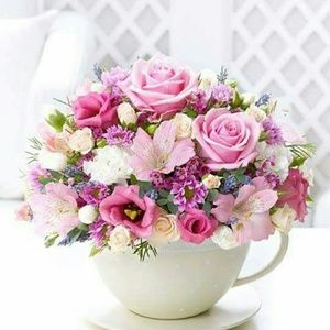 Meet your Posher, Susie