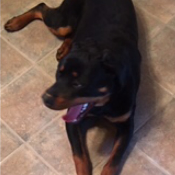 Meet your Posher, Von - Picture 1 of 1