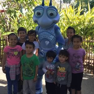 Meet your Posher, Yohana