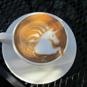 Meet your Posher, Bonnie