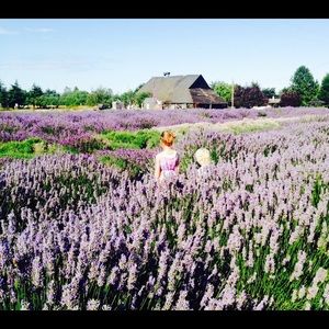 Meet your Posher, Maureen