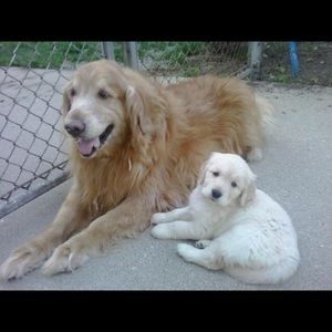 Meet your Posher, Patti