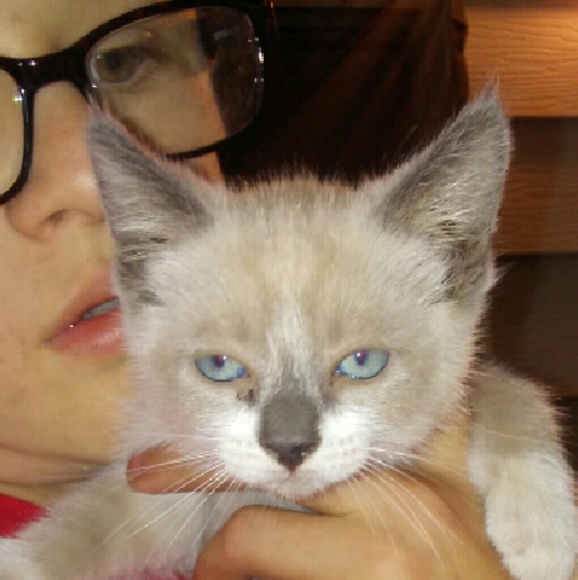 Meet your Posher, Elinbecky - Picture 3 of 5