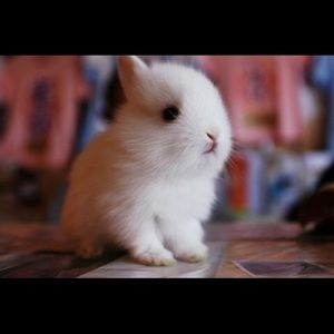 Meet your Posher, Angie