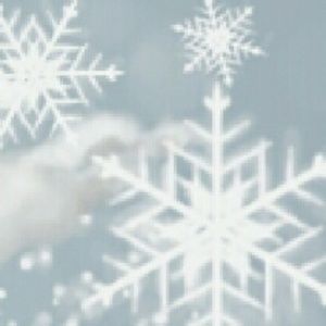 Meet your Posher, Penny