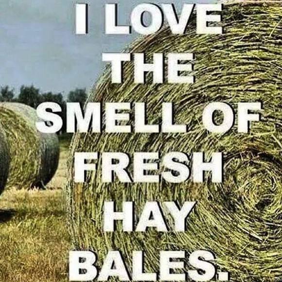 Meet your Posher, Ann