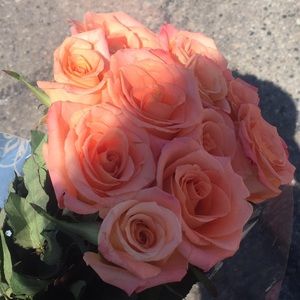 Meet your Posher, Chaya