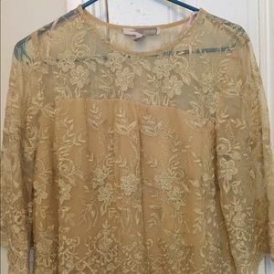 Good dressy Crop top