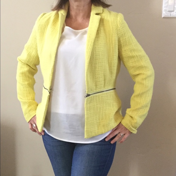 Yellow jacket - Picture 2 of 4