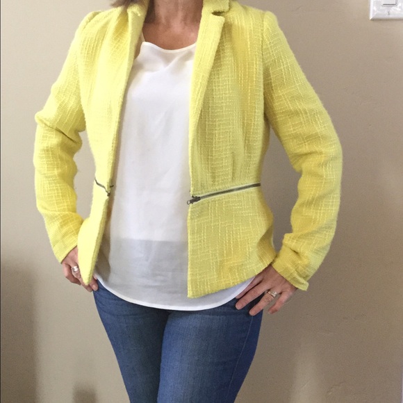 Yellow jacket - Picture 3 of 4