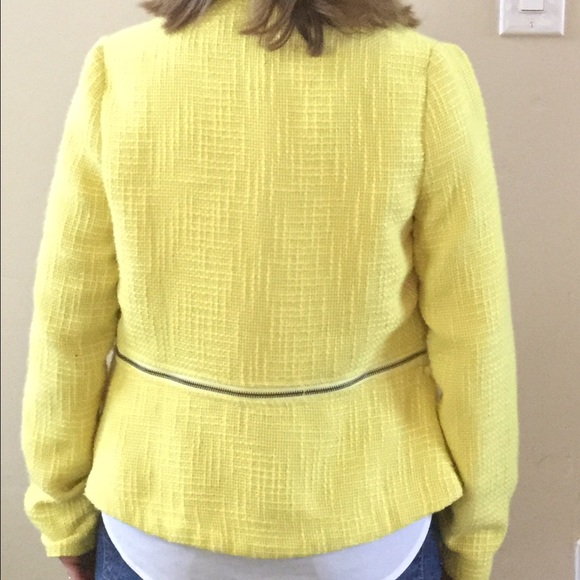 Yellow jacket - Picture 4 of 4