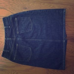 The Limited Denim Skirt