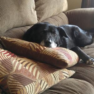 Meet your Posher, Cristina