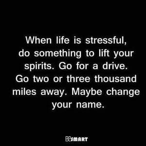 Meet your Posher, Angie