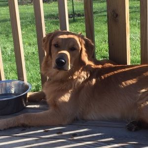 Meet your Posher, Jenny