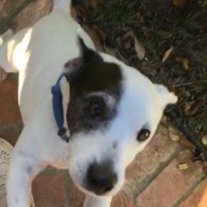 Meet your Posher, Caroline