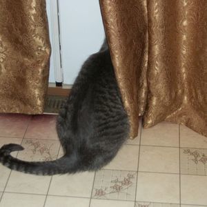 Meet your Posher, Nancy