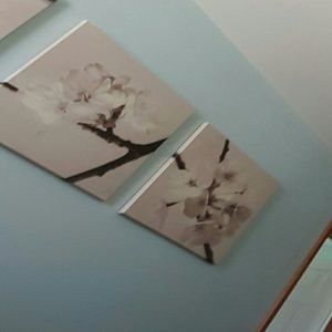 Meet your Posher, Diana