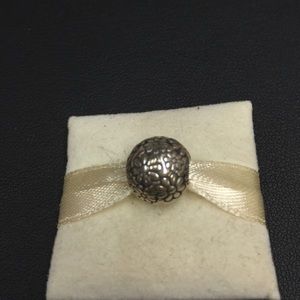 Authentic Pandora clip