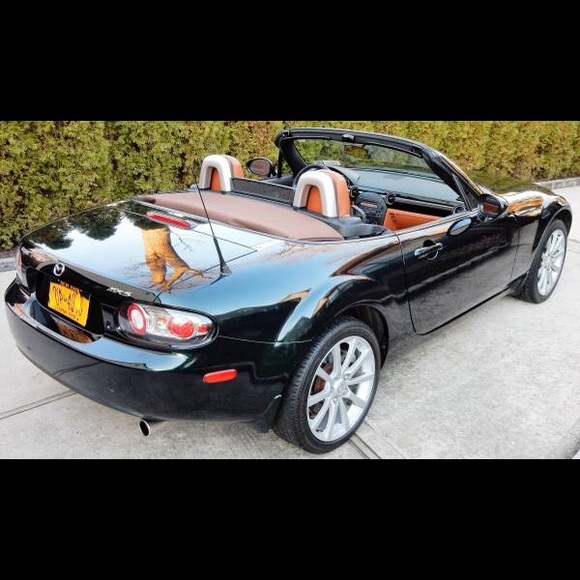 Meet your Posher, Rodney