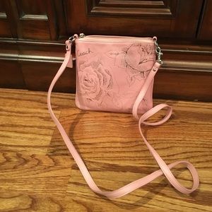 purse (crossbody)