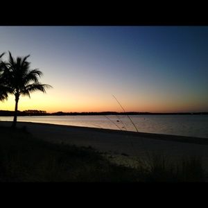 Meet your Posher, Diana