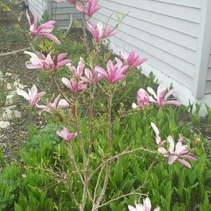 Meet your Posher, Barbara