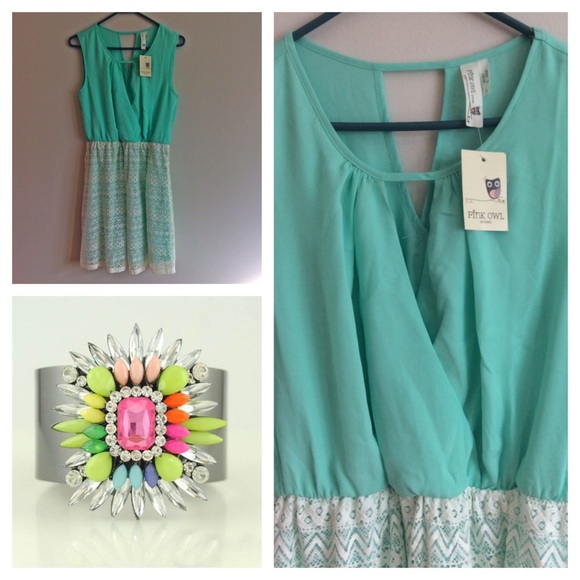 SALE💖 NEW! Pink Owl Mint Green Chevron Dress