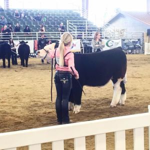 Meet your Posher, Bailey