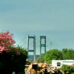 Meet your Posher, Cecilia