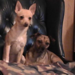 Meet your Posher, April