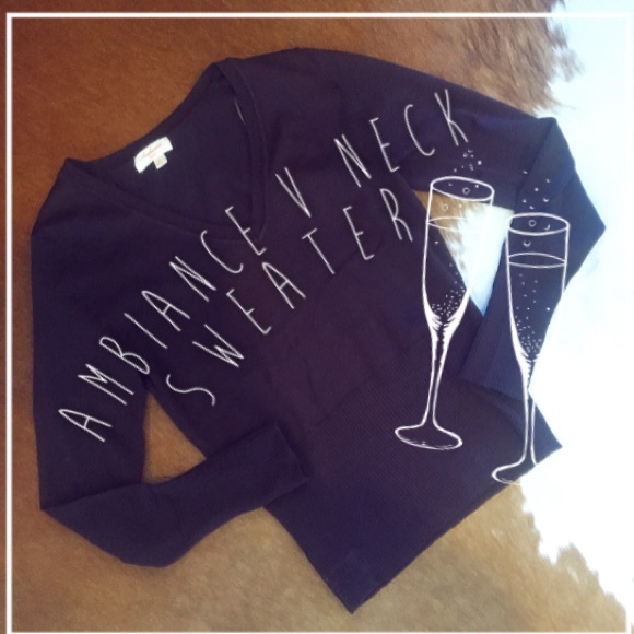 { ambiance } brown v neck sweater
