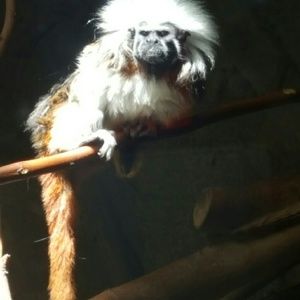 Meet your Posher, Brandy