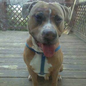 Meet your Posher, Angela