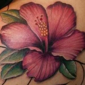 Meet your Posher, Julee