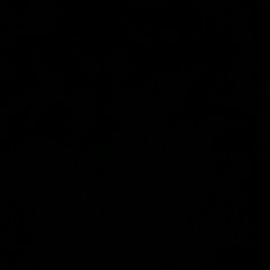 Meet your Posher, Cecilia