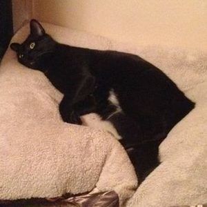 Meet your Posher, Jamie