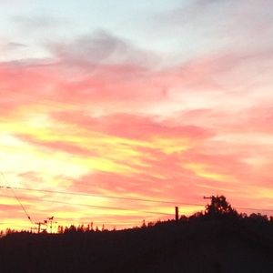 Meet your Posher, Heavenlee