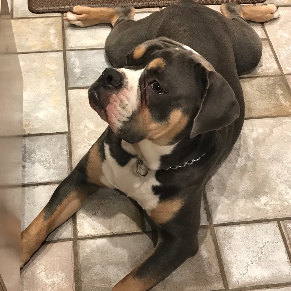 Meet your Posher, Vanessa