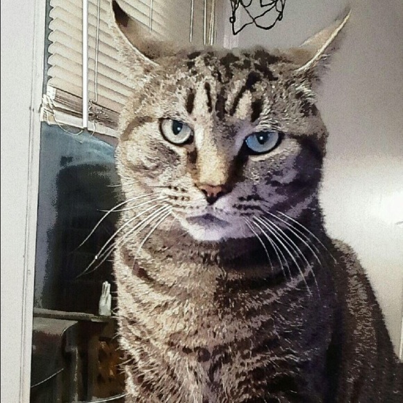 Meet your Posher, Scott - Picture 1 of 1