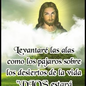 Meet your Posher, Susana