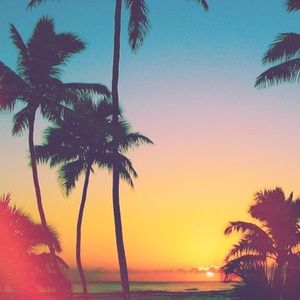 Meet your Posher, Cara