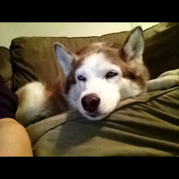 Meet your Posher, Jessica - Picture 1 of 1